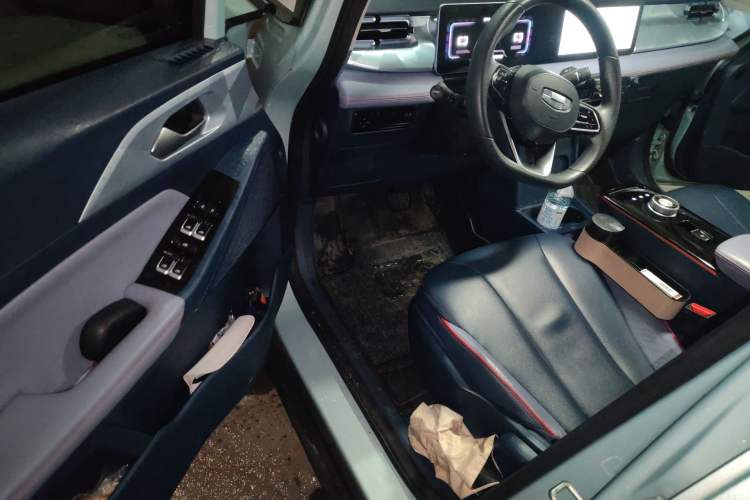 Used Geometry E Firefly 2022 401 km Linglong Tiger 5 Seats