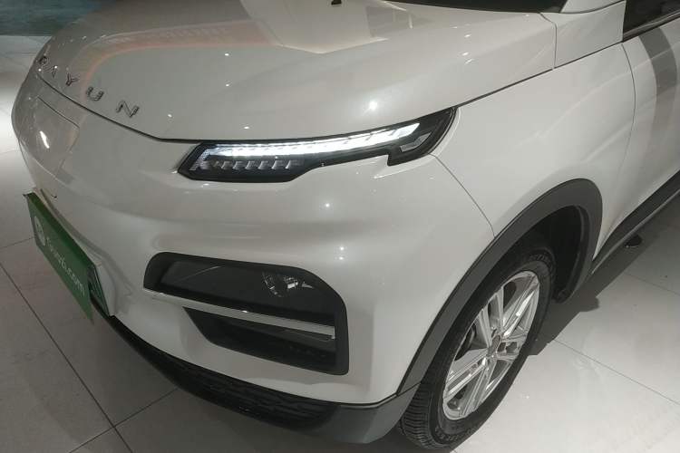 Used Dayun Yuehu 2022 30.66 kWh Two-Wheel Drive Luxury Edition
