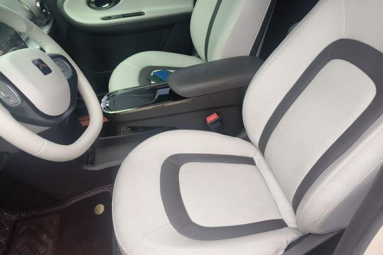 Used JAC Yiwei 3 2023 505km Pro