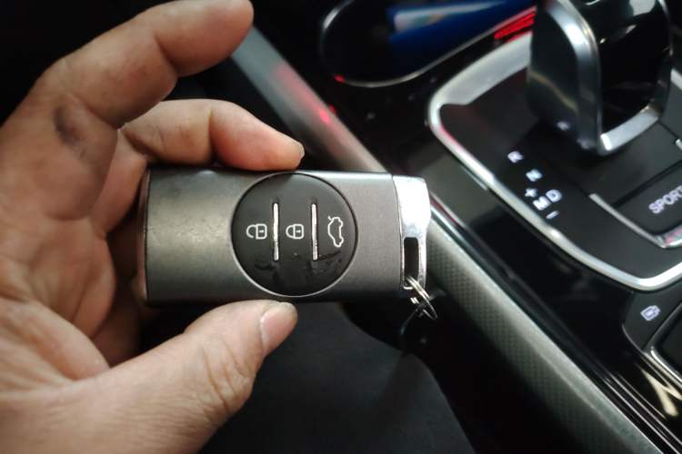 Used EXEED TX 2020 1.6T Two-Wheel Drive Star Edition
