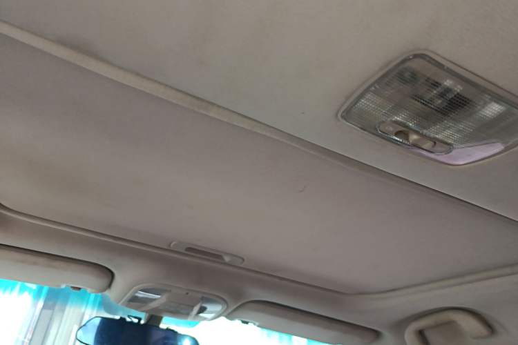 Used BYD Qin New Energy 2017 1.5T Luxury Model Headliner