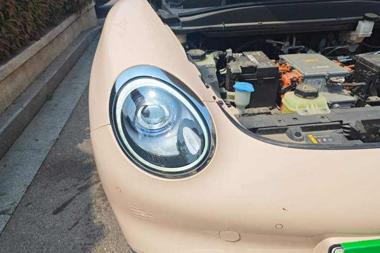 Used ORA Good Cat 2021 400km Standard Range Venus Edition Lithium-Ion Battery
