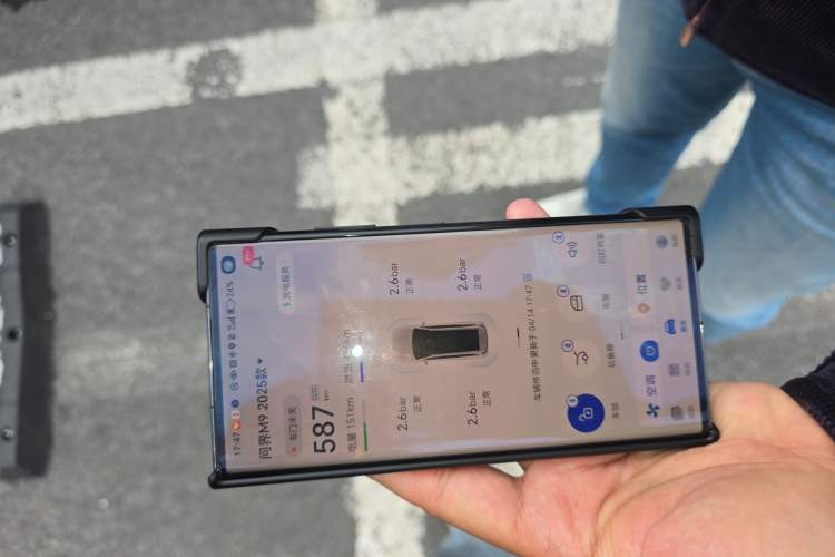 Used Hima AITO M9 2025 Extended-Range Max Version 52 kWh 6-Seater Edition Vehicle Key