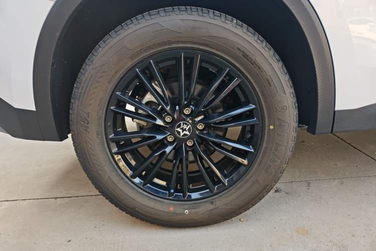 Used Venucia V 2024 260T Idol Joy Ride Pro Edition
