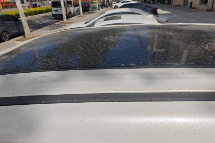 Used GAC Trumpchi M6 2019 270T DCT Prestige Edition (7-seater) China VI Roof