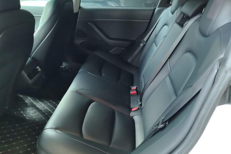 Used Tesla Model 3 2019 Standard Range Rear-Wheel Drive Upgraded Version (52 kWh) Left Rear Seat