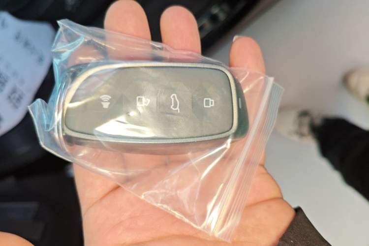 Used Haval H Dog 2023 2.0T Two-Wheel Drive Chaoye Version Plus