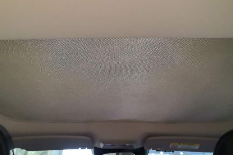 Used XPeng P7 2021 480E Headliner