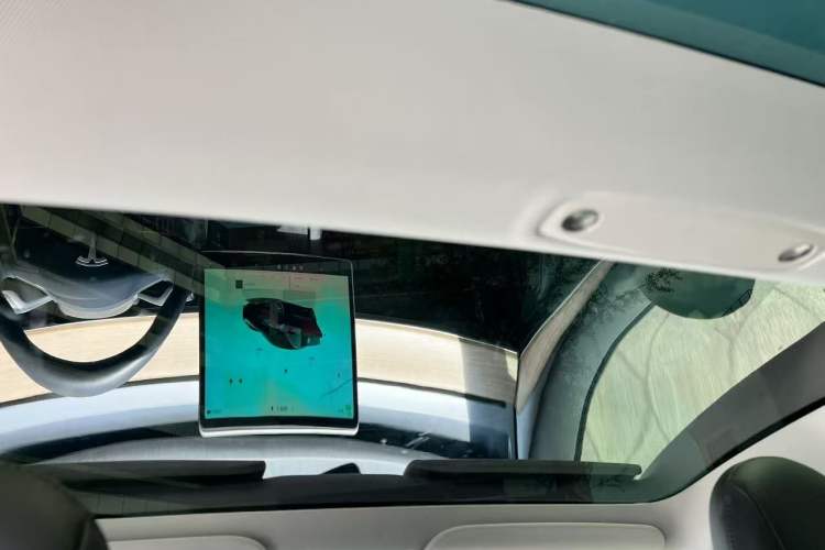 Used Tesla Model 3 2022 Performance High-Performance All-Wheel-Drive Version Headliner