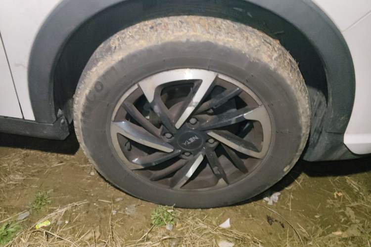 Used NETA V 2021 Long-Range Entertainment Edition Upgrade Model