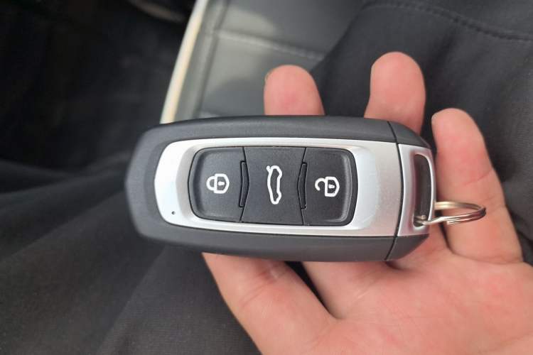 Used Geely Galaxy Panda 2024 Panda Mini 200km Endurance Bear Vehicle Key