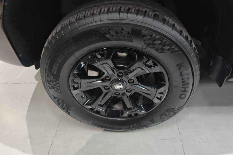 Used Tank 400 New Energy 2023 Hi4-T Super Edition Left Front Wheel Hub