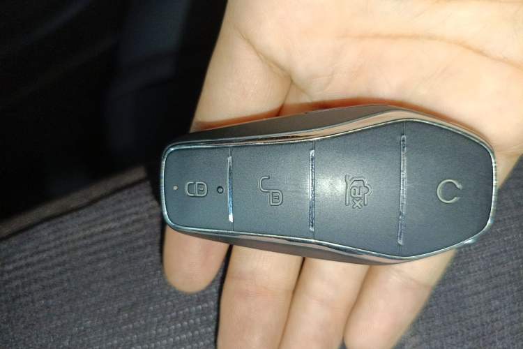 Used BYD e2 2023 Luxury Model