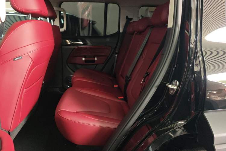 Used Tank 300 2025 2.4T Diesel Version
