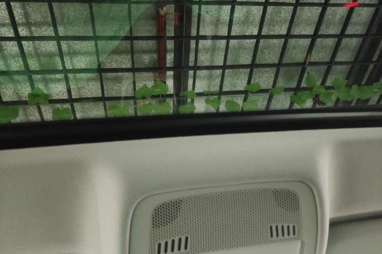 Used Audi A5 2016 Sportback 45 TFSI
