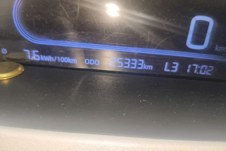 Used Geely Galaxy Panda 2024 Panda Mini 200km Endurance Bear Odometer Close Up