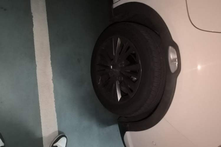 Used NETA V 2022 Pro Long-Range Smart Edition