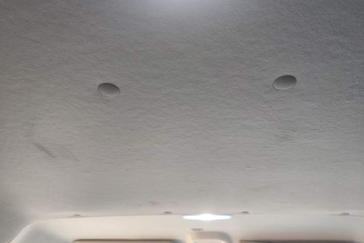 Used Ford Transit 2023 2.0T Diesel Manual Multifunction Commercial Vehicle Short Wheelbase Low Roof 5/6 Seats Headliner