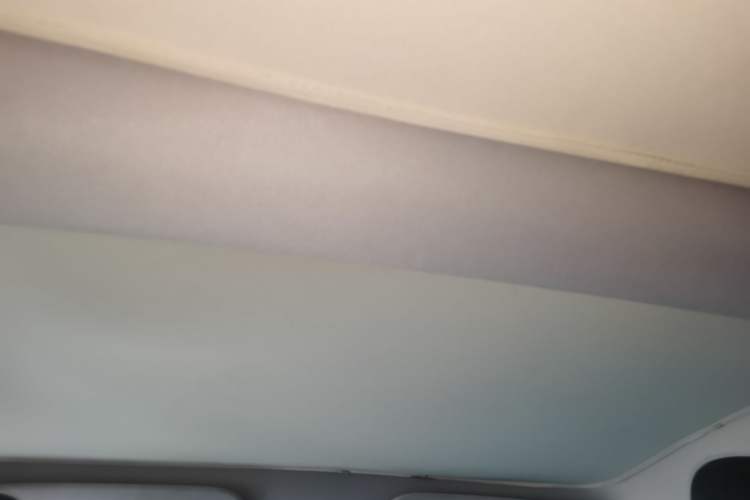 Used Tesla Model 3 2023 Rear-Wheel-Drive Version Headliner