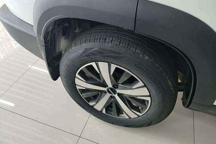 Used Haval DARGO 2021 1.5T DCT Two-Wheel Drive Labrador Edition
