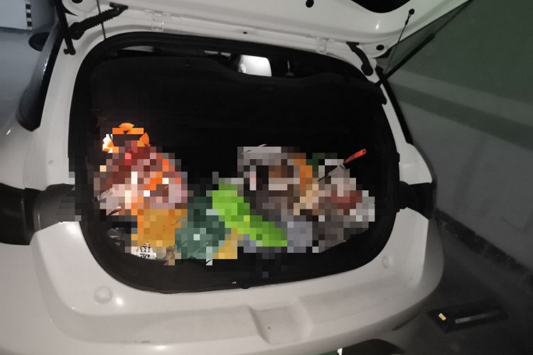 Used BYD Dolphin 2025 Intelligent Driving Version 520km Range Knight Edition