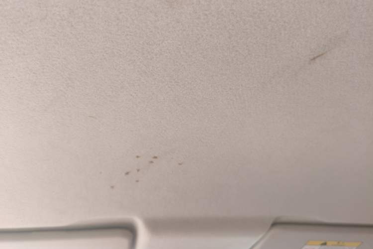 Used Oshan Benni E-Star 2021 National Edition Colorful Version Lithium Iron Phosphate (31.18 kWh)