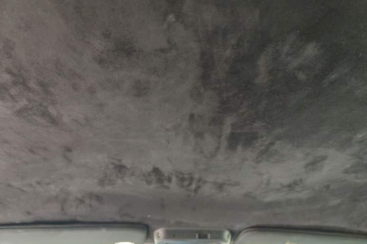 Used Ford Mustang 2017 2.3T Performance Edition