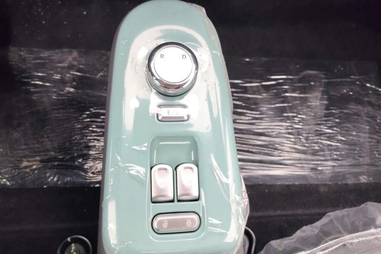 Used Qiyuan Lumin 2023 301km Honey Dew Edition
