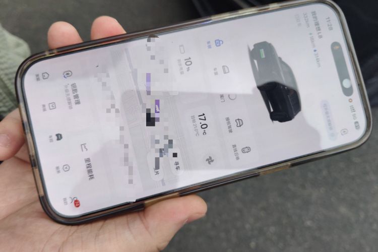 Used Li Auto L8 2024 Pro Model
