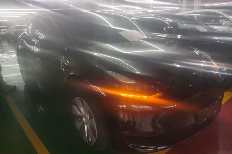 Used Tesla Model Y 2021 Standard Range Rear-Wheel Drive Version