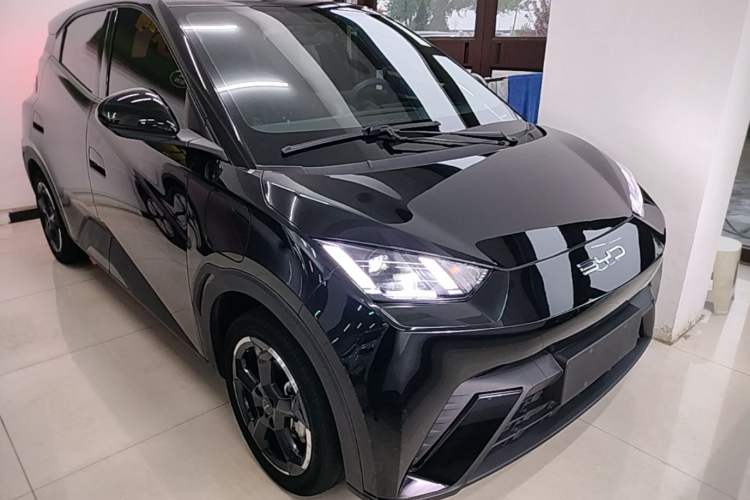 Used BYD Seagull 2023 Free Edition Front