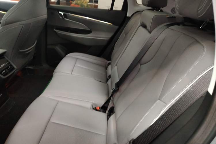 Used Buick E5 2024 Premium Standard-Range Audiovisual Edition