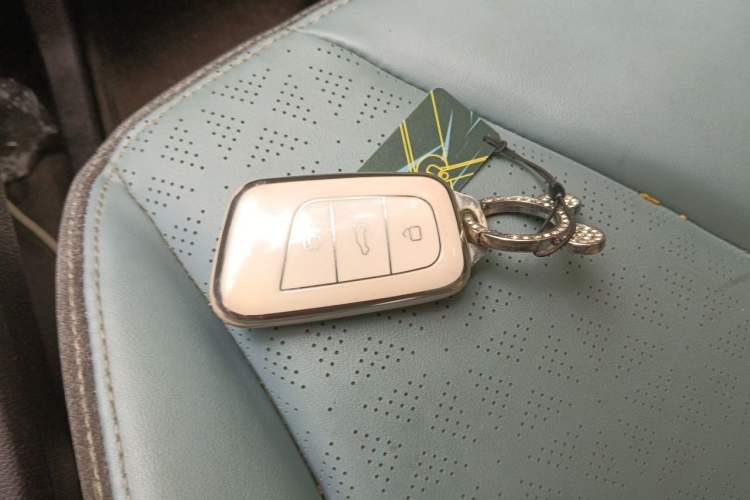 Used Chery QQ Little Ant 2022 Sweet Pink Edition Half-Sugar Version 3-Cell Lithium 30kW 301km Vehicle Key