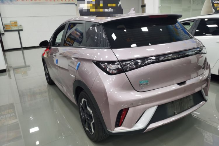 Used BYD Dolphin 2021 405 km Fashion Edition
