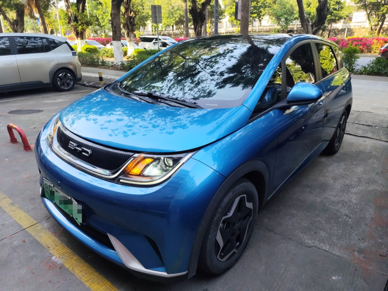 Parte inferior delantera