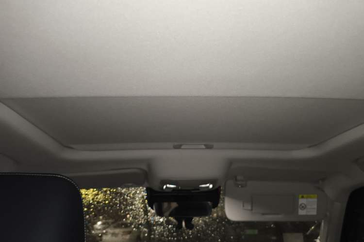 Used Tank 300 2021 Off-Road Edition 2.0T Conqueror Headliner