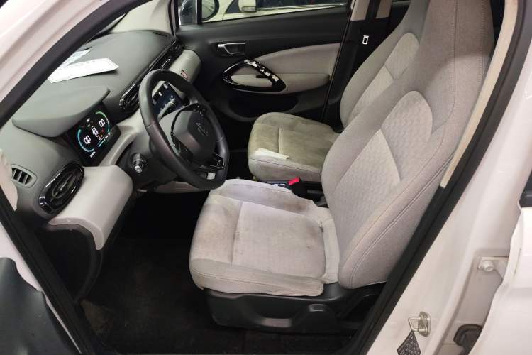 Used Leapmotor T03 2022 Glazed Edition Left Front Seat