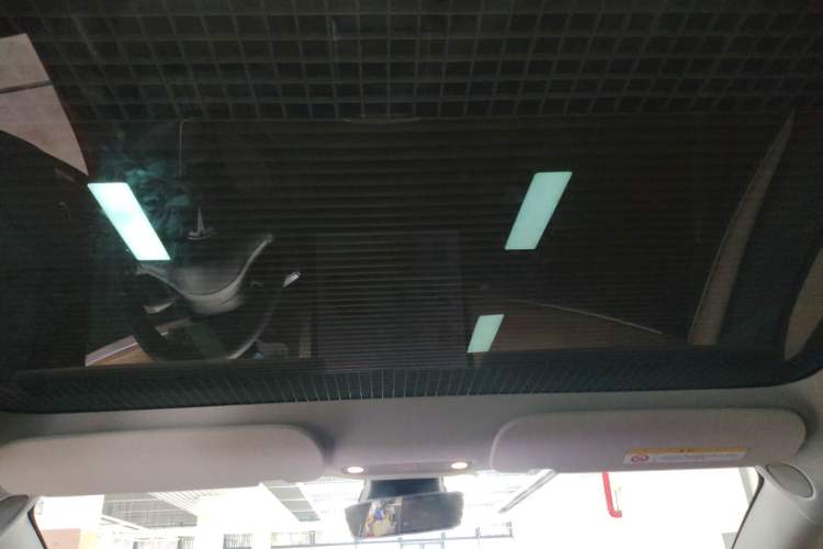 Used Tesla Model 3 2021 Standard Range Rear-Wheel Drive Upgraded Version 3D6 Headliner