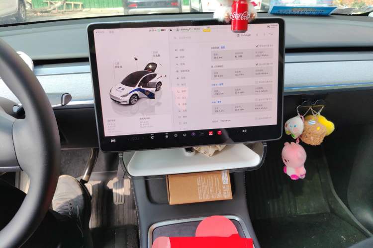 Used Tesla Model Y 2022 Rear-Wheel-Drive Version