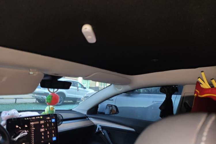 Used Tesla Model 3 2022 Rear-Wheel-Drive Version