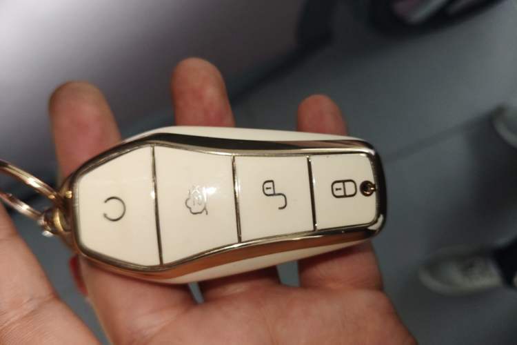 Used BYD Dolphin 2021 401km Knight Edition Vehicle Key