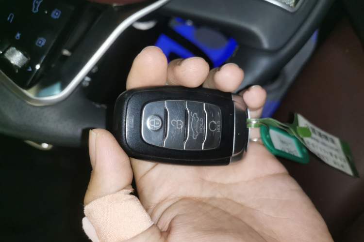 Used Hongqi E-HS9 2022 660 km Range Flagway Edition Six Seats