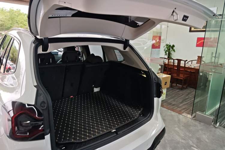 Used BMW X3 2022 xDrive30i Luxury Model M Night Sky Package
