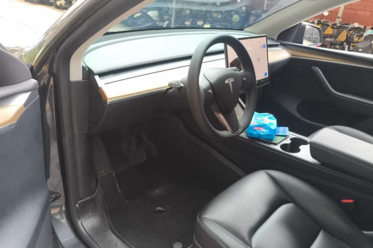 Used Tesla Model Y 2021 Standard Range Rear-Wheel Drive Version
