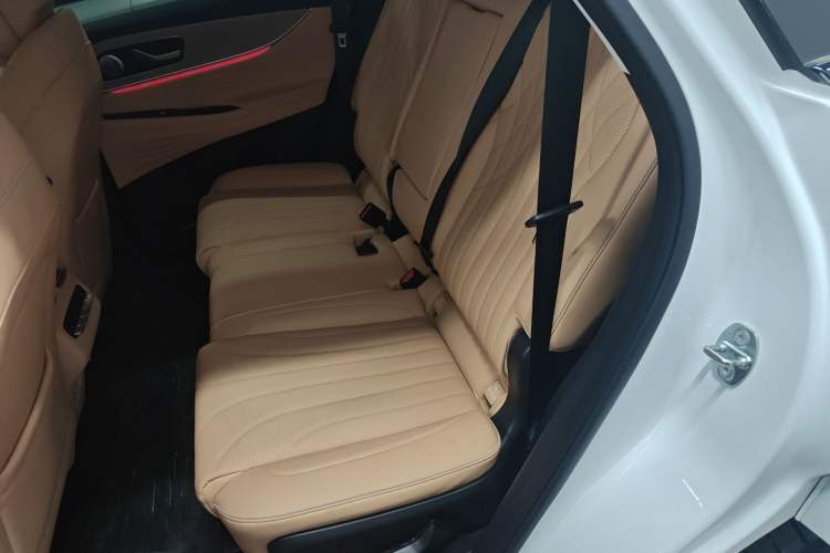 Used Chery Tiggo 9 2023 2.0T Dual-Clutch Two-Wheel Drive Luxury Edition 7 Seats Left Rear Seat