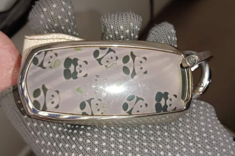 Used Geely Galaxy Panda 2023 Panda Mini 200km Endurance Bear