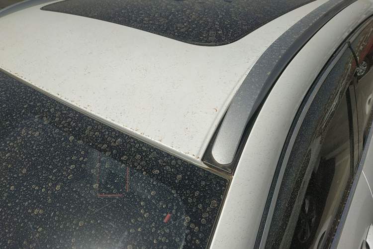 Used Haval H6 2021 China Trend Edition 1.5 GDIT Automatic Champion Version
