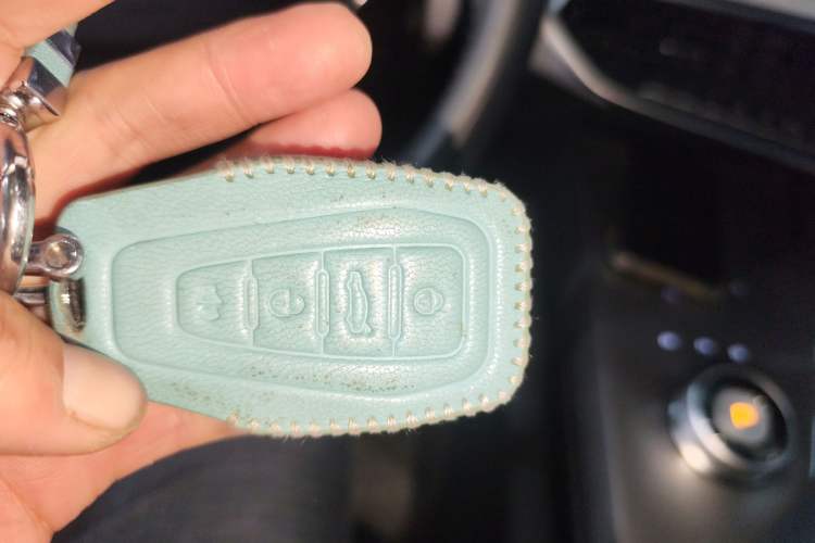 Used Geometry C 2020 Selected Range Edition 550 KM C++ Pro