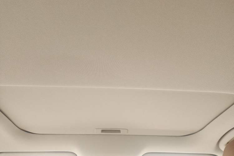 Used Nissan Sylphy 2021 1.6L TOP CVT Luxury Edition Headliner