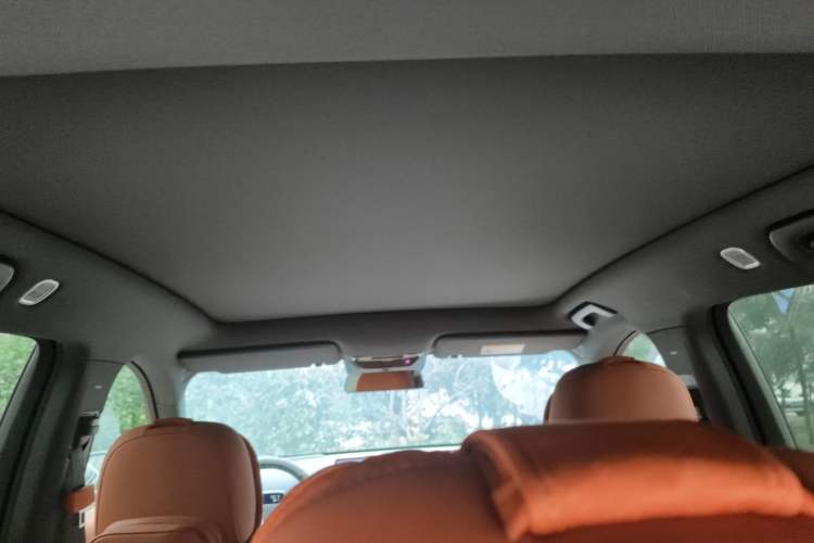 Used Li Auto L6 2024 Pro Model Headliner